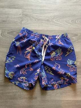 Chubbies men’s small swim trunks neon dragons and unicorns